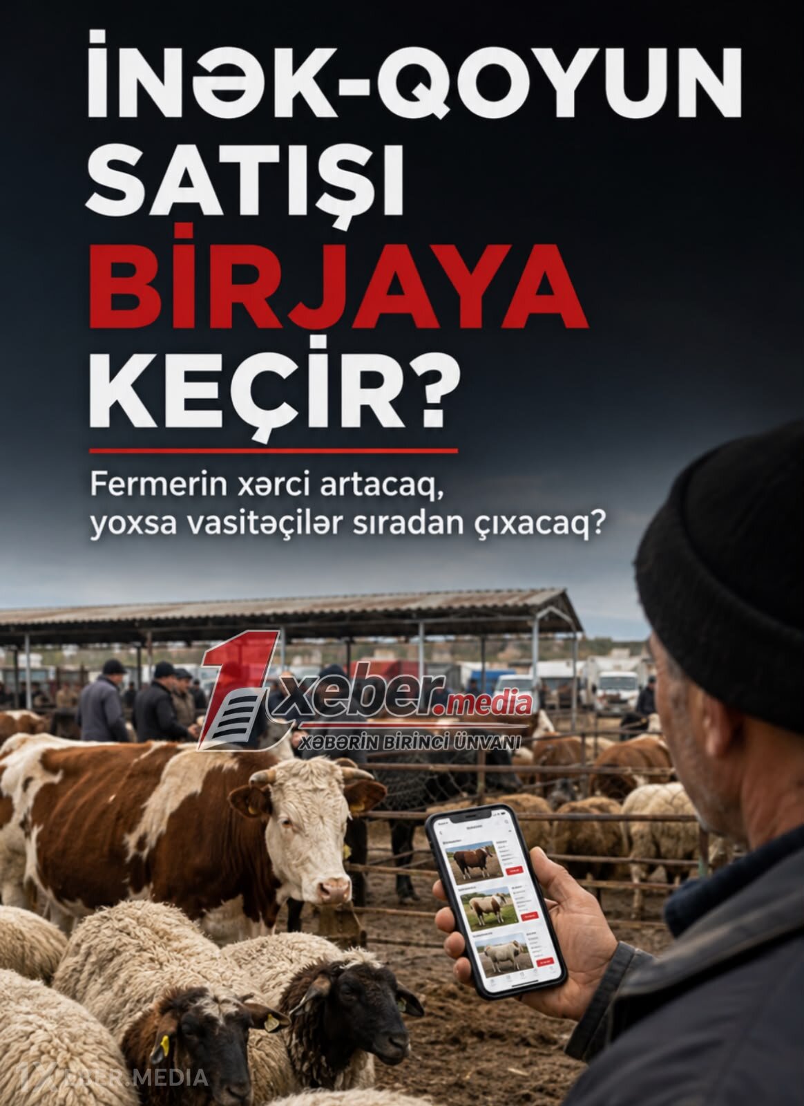 Birjada inək-qoyun satışı: Fermerin xərci artacaq, yoxsa vasitəçilər sıradan çıxacaq?
