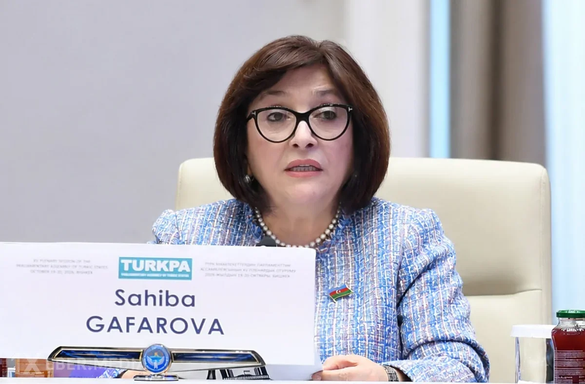 Sahibə Qafarova TÜRKPA-nı gənclər siyasətini gücləndirməyə çağırıb