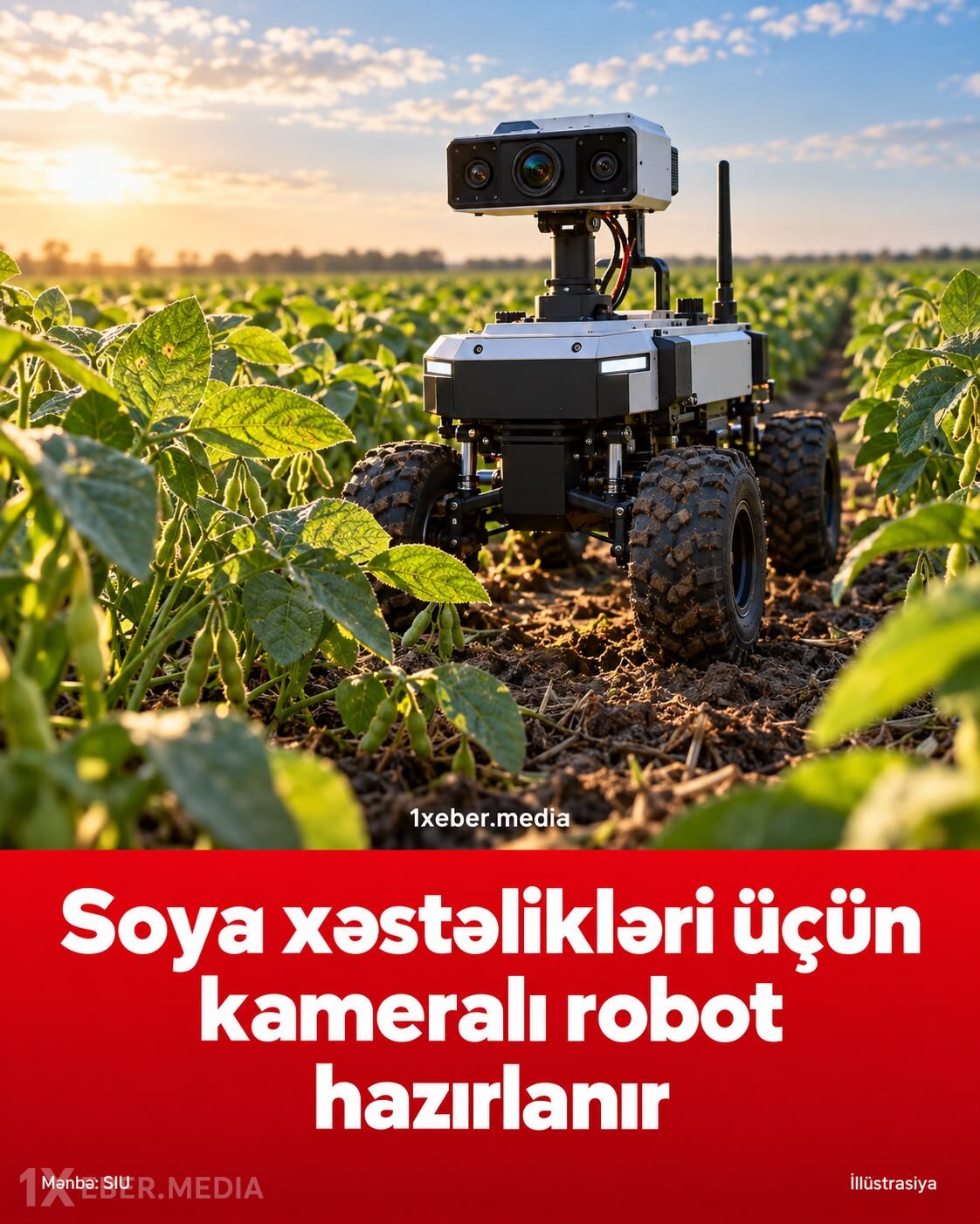 Soya xəstəlikləri üçün kameralı robot hazırlanır