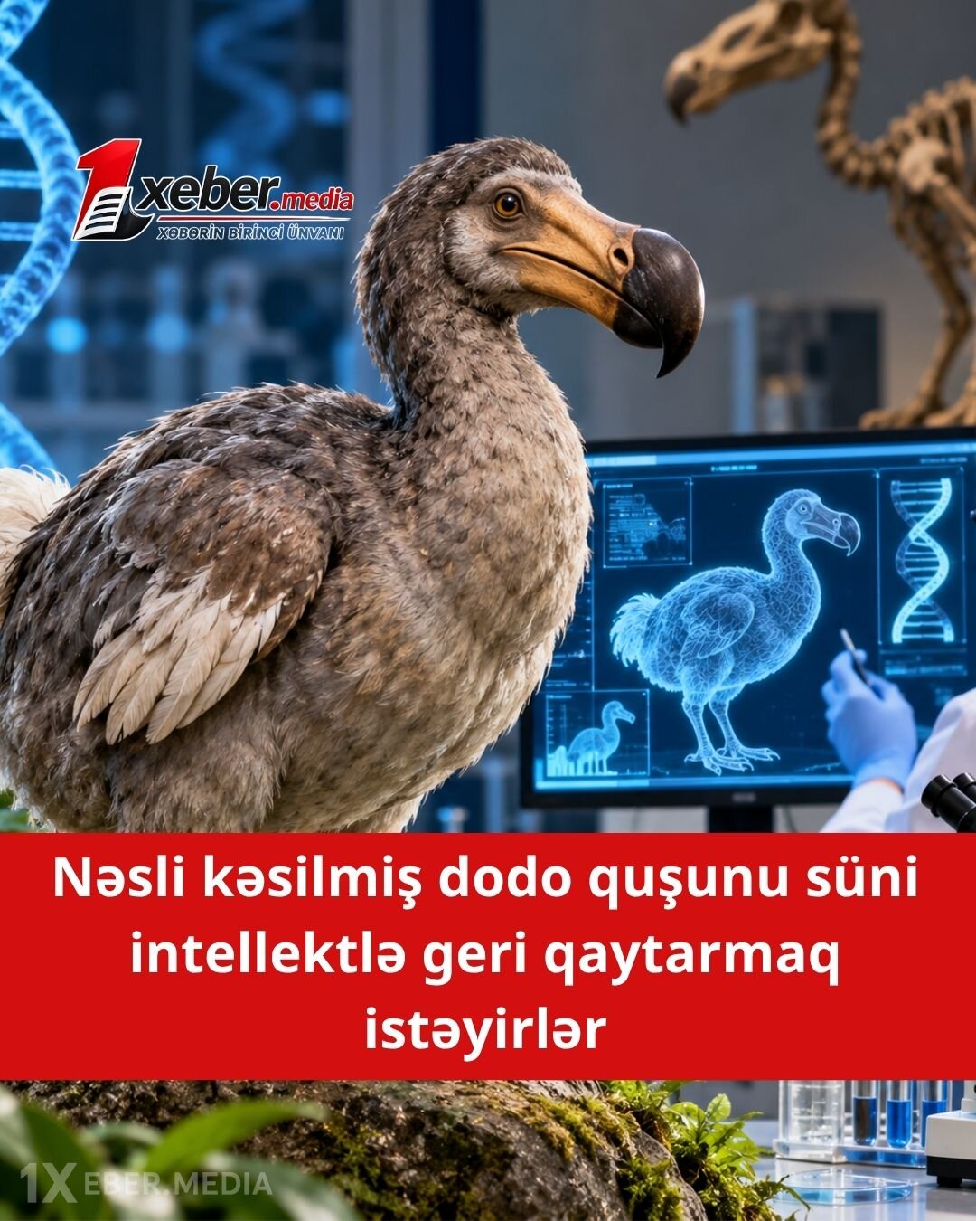 Süni intellekt və gen redaktəsi birləşdi: 400 il əvvəl yox olan dodo quşu geri qayıdır!