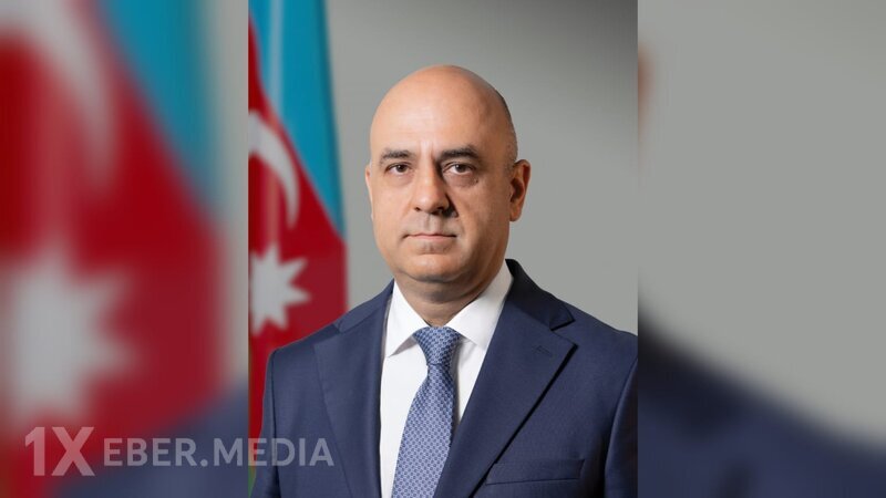Mərkəzi Banka yeni baş direktor təyin edildi
